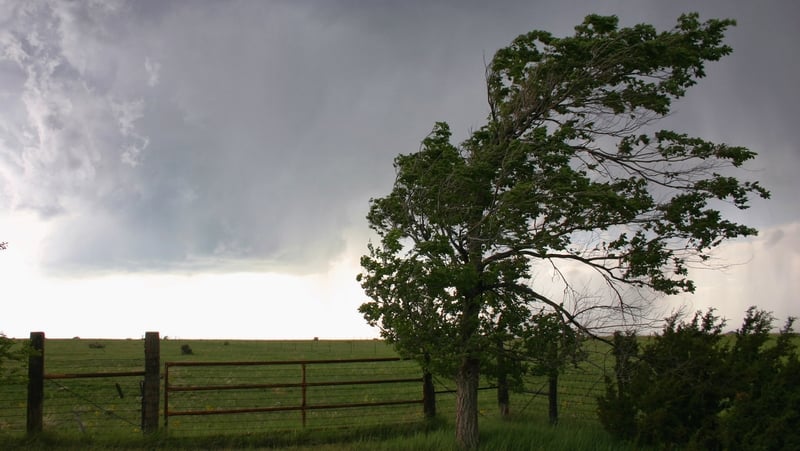 تحذير أصفر من الرياح ساري في خمس مقاطعات غربية